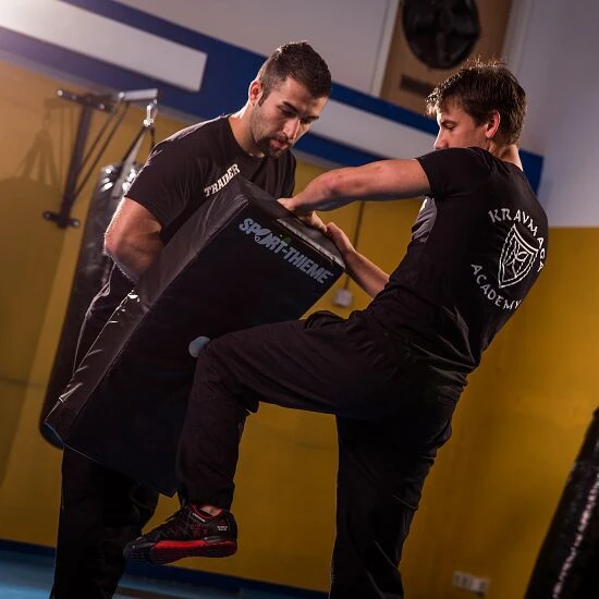 Sport-Thieme Schlagpolster "Curve" – Bild 8