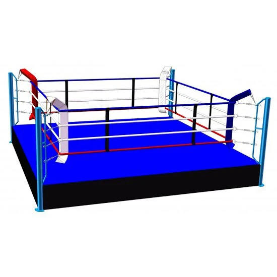 Sport-Thieme Boxring "Training" â Bild 2