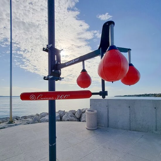 Quinns Boxtrainer "360°" – Bild 2